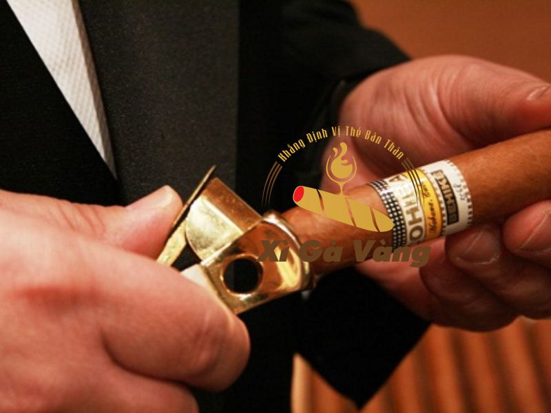 Cần phải lựa chọn cửa hàng bán xì gà uy tín để tránh hàng giả, hàng nhái